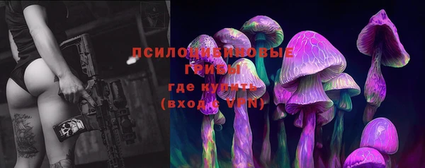 наркотики Богданович