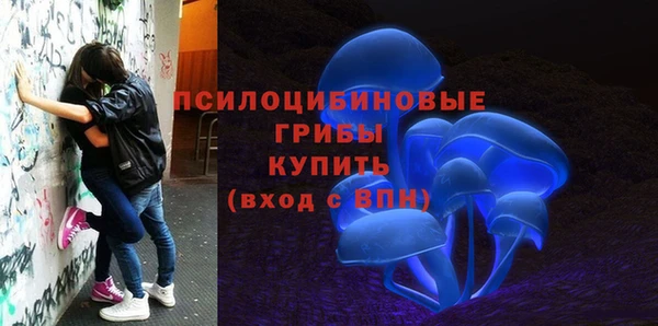 меф Сясьстрой